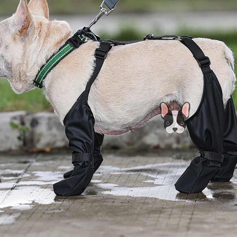 Black Paw™ Galosh Dog Booties for Pet Safety and Comfort