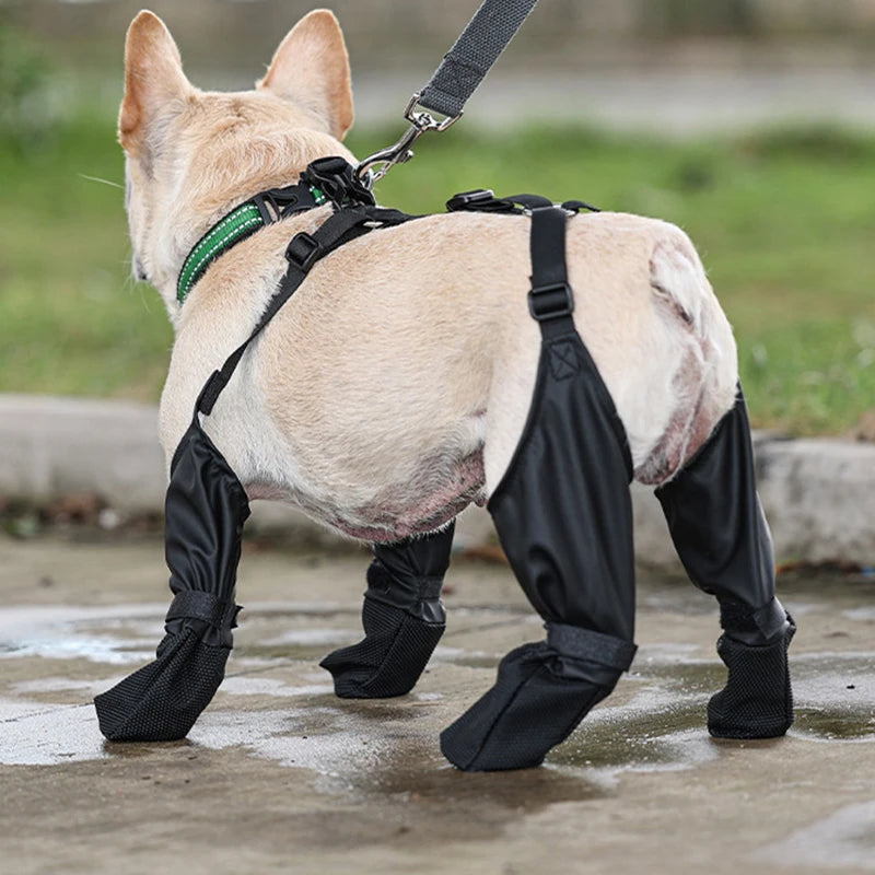 Black Paw™ Galosh Dog Booties for Pet Safety and Comfort