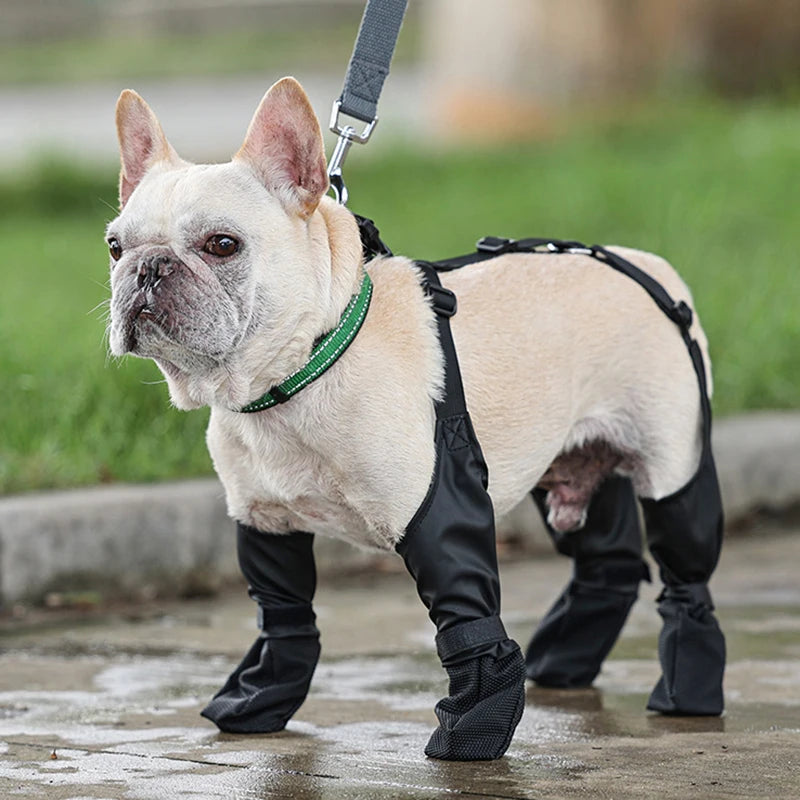 Black Paw™ Galosh Dog Booties for Pet Safety and Comfort